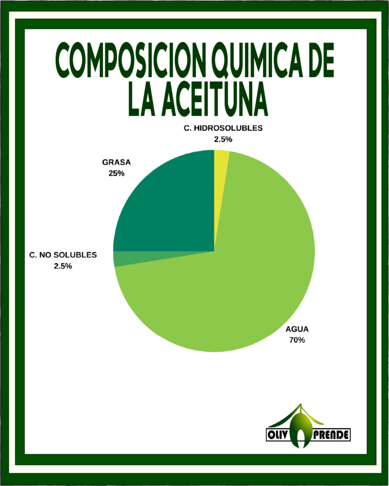 Composición química de la aceituna
